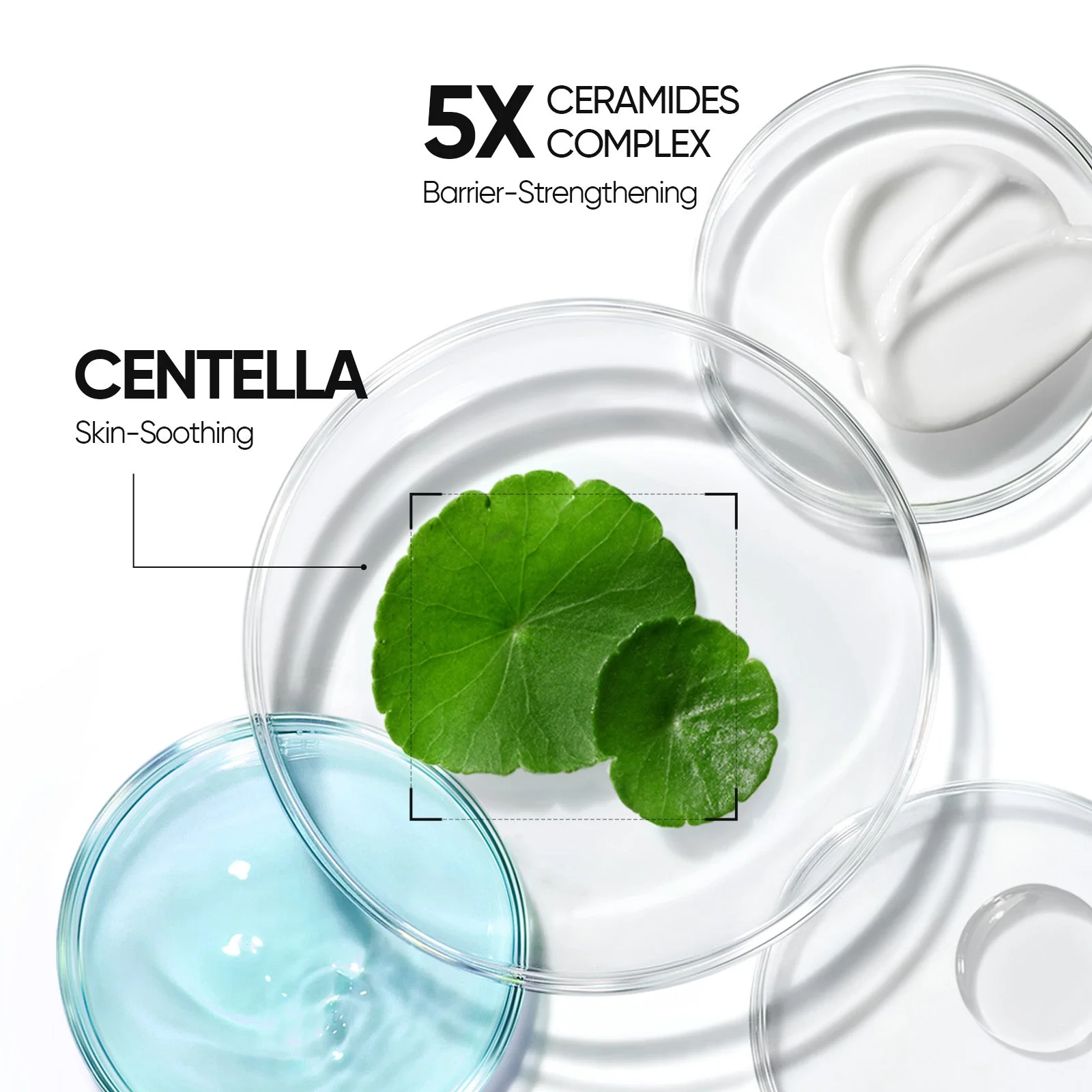 Day & Night Cream Duo - Glow Bright Day Cream & 5X Ceramide Barrier Repair Moisture Gel - Image 7